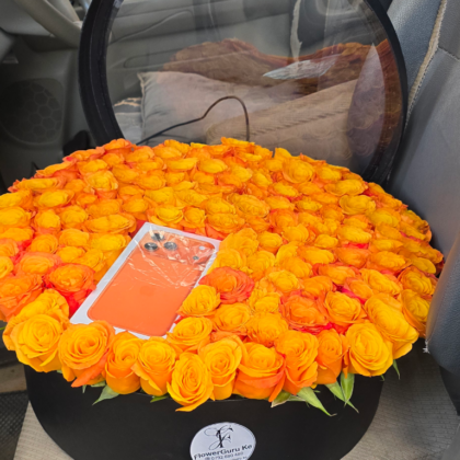 Orange in a Box